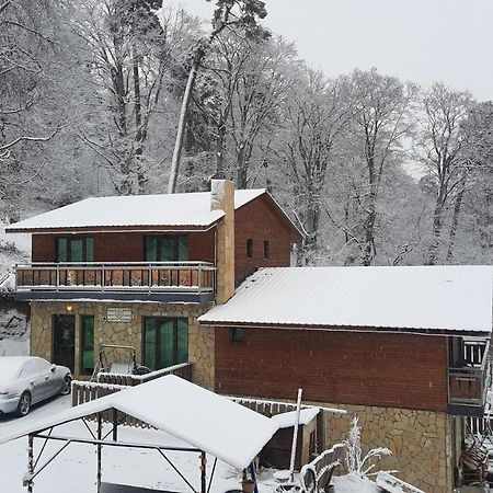 Villa A Barleon Bakuriani Kültér fotó